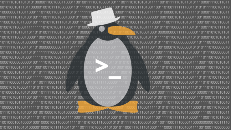 Linux Căn Bản – Bài 12: Quản lý phần mềm, tác vụ trên hệ thống Linux và tấn công leo thang đặc quyền đối với server Learn&nbsp;Linux